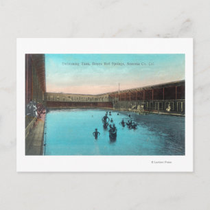 Uitzicht van de Zwemmetrieke TankBoyes Hot Springs Briefkaart