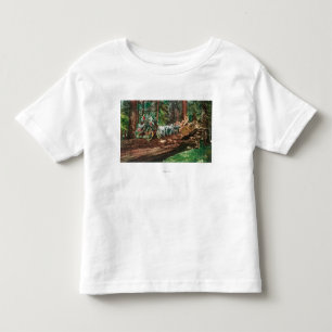 Uitzicht van een fasemachine op de bovenkant van e kinder shirts