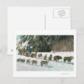 Uitzicht van een Husky Dog-Sled Team Briefkaart (Voorkant / Achterkant)
