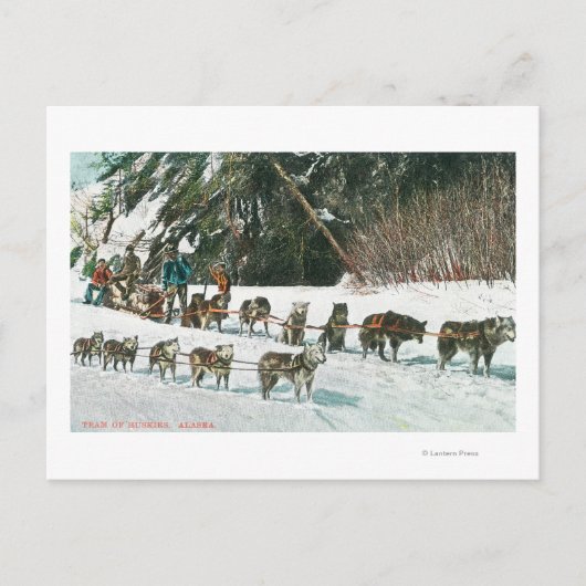 Uitzicht van een Husky Dog-Sled Team Briefkaart (Voorkant)
