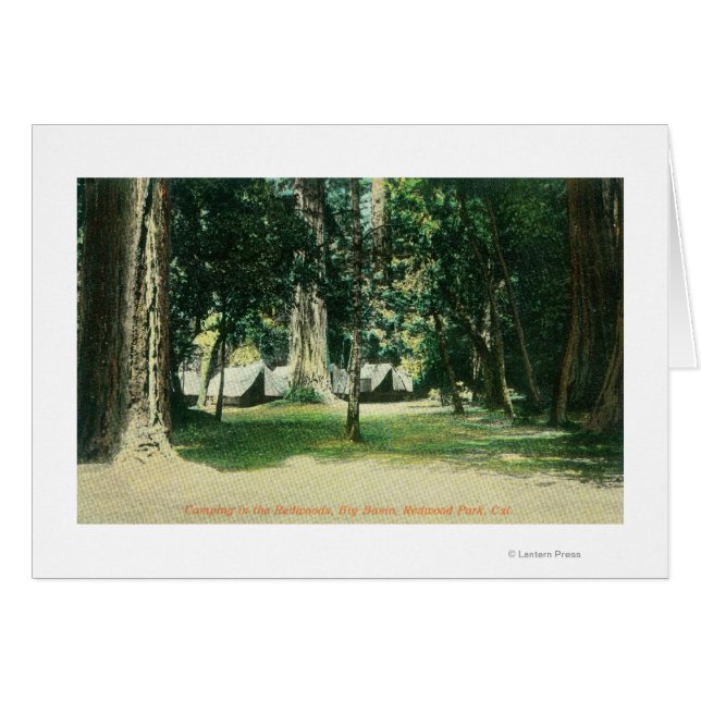 Uitzicht van een kamp in de kustmammoetbomen (Voorkant Horizontaal)