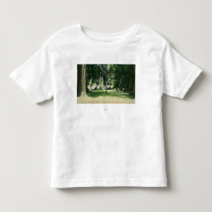 Uitzicht van een kamp in de kustmammoetbomen kinder shirts