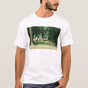 Uitzicht van een kamp in de kustmammoetbomen t-shirt