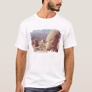 Uitzicht van een kolossaal hoofd en een adelaar t-shirt