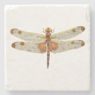 uitzicht van een mannetje Calico Pennant Dragonfly Stenen Onderzetter
