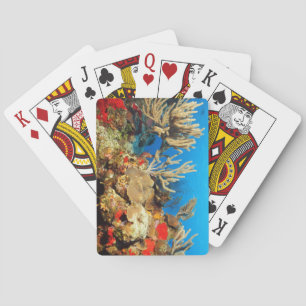 Uitzicht van een onderzeeër voor het verdovend mar pokerkaarten