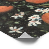 Uitzicht van een Oranje boomgaard met bergen Poster (Hoek)