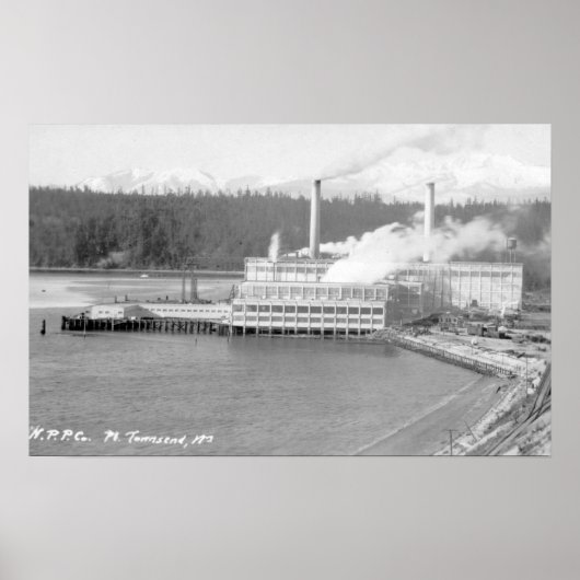 Uitzicht van een Plant van papier Poster (Voorkant)