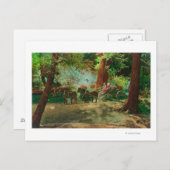 Uitzicht van een podium Coach tussen grote bomen Briefkaart (Voorkant / Achterkant)