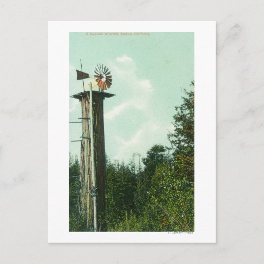 Uitzicht van een Sequoia Wind MillEureka, CA Briefkaart (Voorkant)