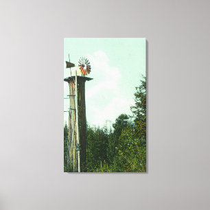Uitzicht van een Sequoia Wind MillEureka, CA Canvas Afdruk