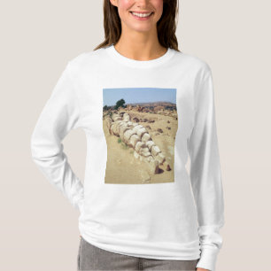 Uitzicht van een van de grote beelden van Telemon T-shirt