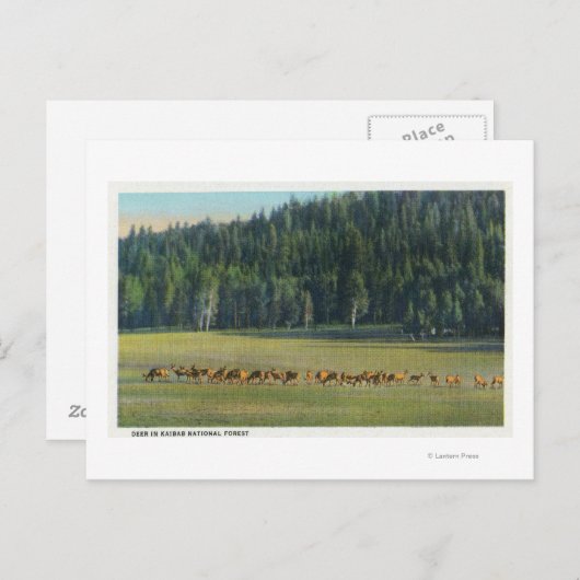 Uitzicht van een verpakking van Deer Grazing Briefkaart (Voorkant / Achterkant)