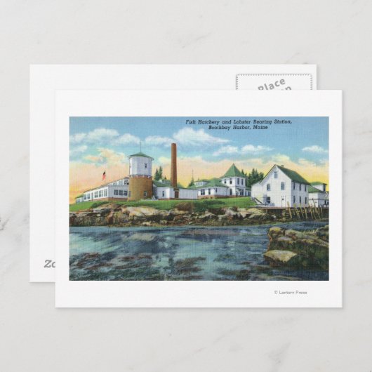Uitzicht van een vishatchery, Lobster-kweek Briefkaart (Voorkant / Achterkant)