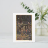 Uitzicht van een Wilde Buck & Doe Briefkaart (Staand voorkant)