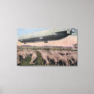 Uitzicht van een Zeppelin-blimp over graasschapen Canvas Afdruk