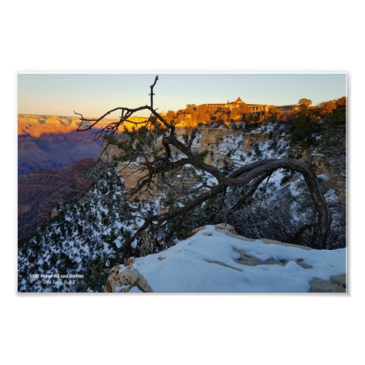 Uitzicht van El Tovar hotel met uitzicht op Grand  Foto Afdruk (Voorkant)