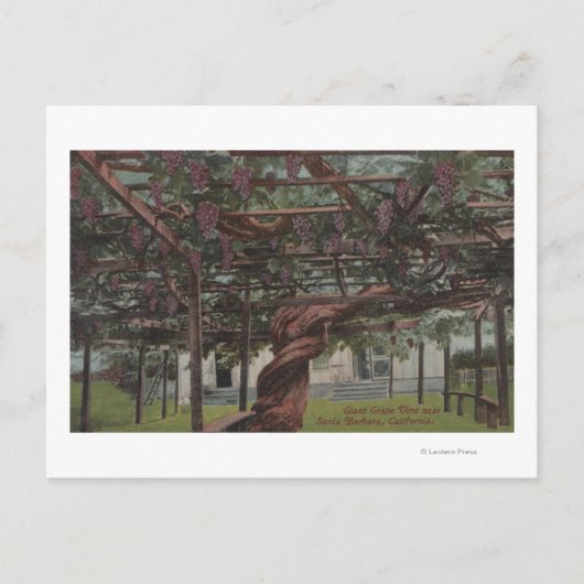 Uitzicht van gistdruiven briefkaart (Voorkant)