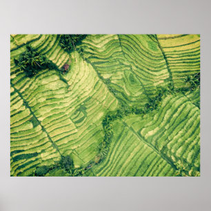 Uitzicht van groene grond poster