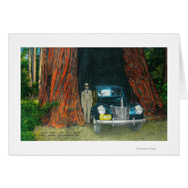 Uitzicht van het Auto TreeBig Basin State Park, CA (Voorkant Horizontaal)