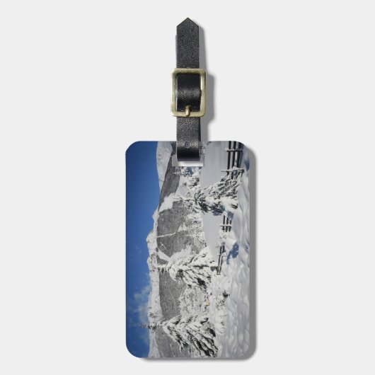 Uitzicht van het catedral-skioord in Bariloche Bagagelabel (Voorkant verticaal)