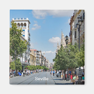 Uitzicht van het centrum van Sevilla Magneet