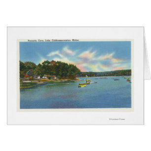 Uitzicht van het Cobbosseecontee-meer in Pernette