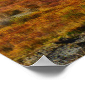 Uitzicht van het Grote Teton-gebergte in het najaa Poster (Hoek)