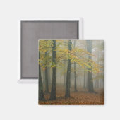 Uitzicht van het herfst van het bos, grootvader 3 magneet (Voorkant / Achterkant)