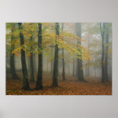 Uitzicht van het herfst van het bos, grootvader 3 poster (Voorkant)