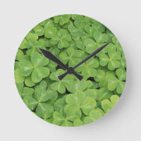 Uitzicht van het hout van Oxalis Oregana Sorrel Fo