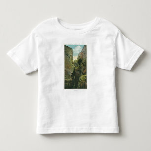 Uitzicht van het Knipsel van de Bald Kinder Shirts