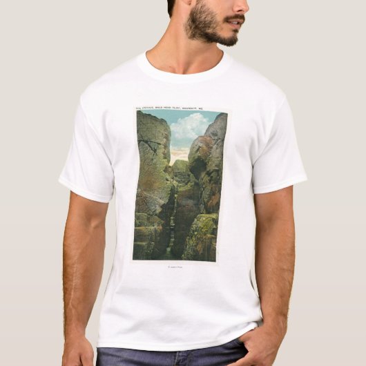 Uitzicht van het Knipsel van de Bald T-shirt (Voorkant)