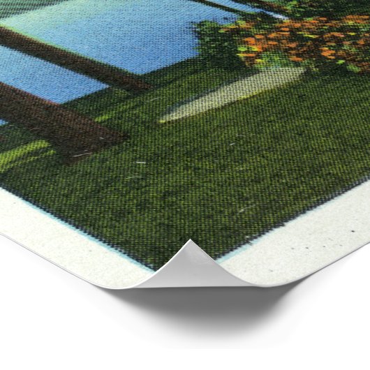 Uitzicht van het meer van het Brown Swan Park Poster (Hoek)