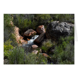 Uitzicht van het Noord-Kaibab-spoor, Grand Canyon