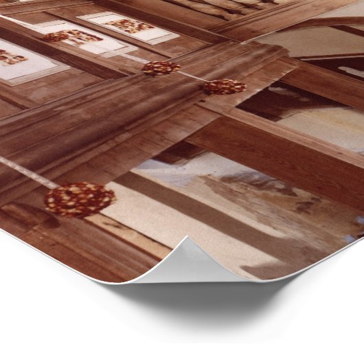 Uitzicht van het orgaan poster (Hoek)