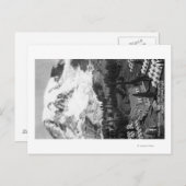 Uitzicht van het Paradise-kamp en Mt Rainier Briefkaart (Voorkant / Achterkant)