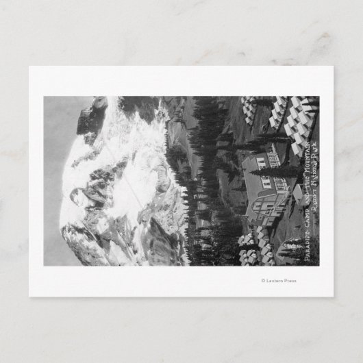 Uitzicht van het Paradise-kamp en Mt Rainier Briefkaart (Voorkant)