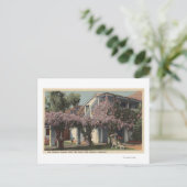 Uitzicht van het Wisteria Pergola, Oasis Hotel Briefkaart (Staand voorkant)