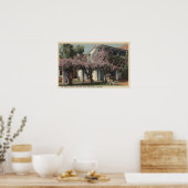 Uitzicht van het Wisteria Pergola, Oasis Hotel Poster (Keuken)