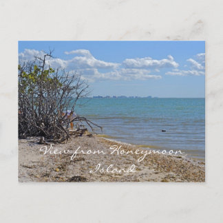 Uitzicht van Honeymoon Island Briefkaart