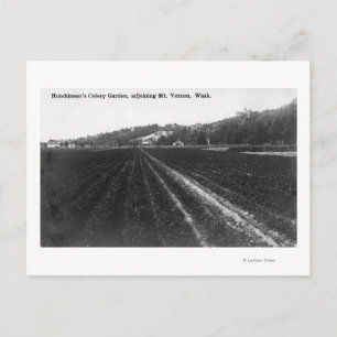 Uitzicht van Hutchinson Celery Garden Briefkaart