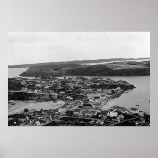 Uitzicht van Kodiak, Alaska-foto Poster (Voorkant)