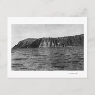 Uitzicht van Koningseiland Alaska Foto Briefkaart