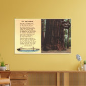 Uitzicht van lanes Redwood Flat Canvas Afdruk (Insitu (Woonkamer))