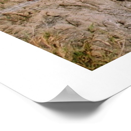 Uitzicht van Manarola Panorama Poster (Hoek)