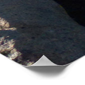 Uitzicht van Mitchell Peak in het Nationaal Park S Poster (Hoek)