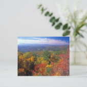 Uitzicht van Monument Mountain Foliage Briefkaart (Staand voorkant)