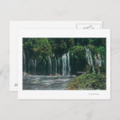 Uitzicht van Mossbrae FallsShasta Springs, CA Briefkaart (Voorkant / Achterkant)