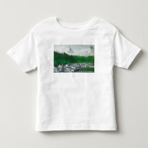 Uitzicht van Mt Index en Mt Persis Kinder Shirts